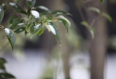 冬至节的风俗