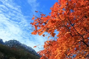 重阳节有何习俗