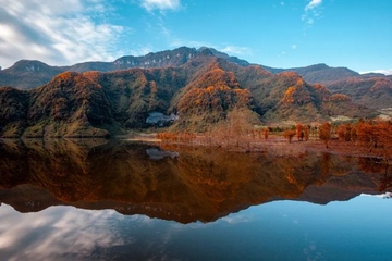 重阳节有何寓意