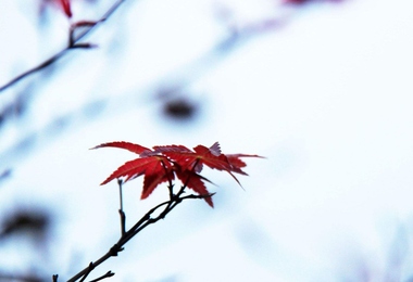 重阳节有啥传说