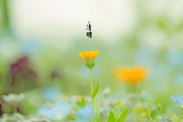 清明节祭祖的意义