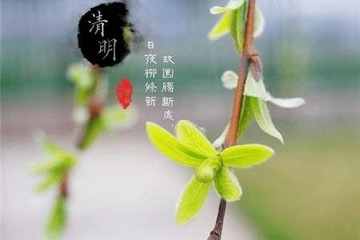 清明节祭奠亲人的句子