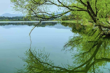 清明节是寒食节吗?清明节的节日习俗有哪些?