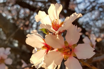 清明节可以说节日快乐吗