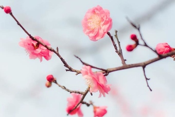 上巳节的时间和风俗