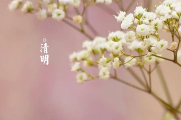 疫情清明节能扫墓吗？今年清明节可以扫墓吗？