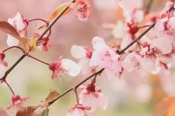 上巳节是什么节日？四大鬼节有哪些？