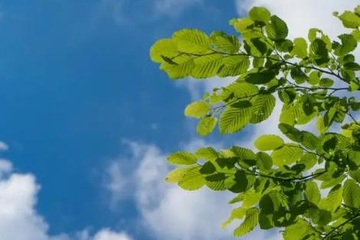 端午节在什么季节