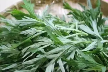 端午节的端指的是什么意思