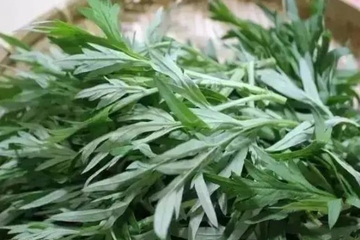 端午节食俗,端午节做什么吃的