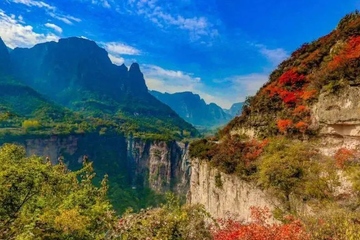 重阳节是农历几月几日,重阳节是哪一天