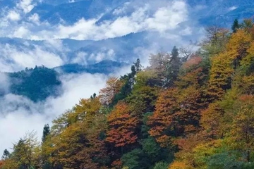 九月九日登高的寓意是什么,重阳节登高意味着什么