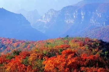 重阳节的别称,九月九日重阳节又称什么节