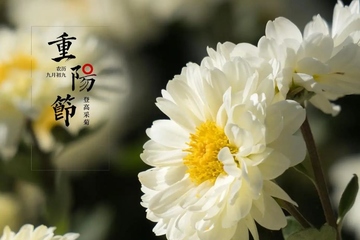 九九重阳节是鬼节吗,为什么说重阳节是鬼节