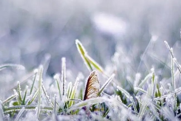 今年什么时候冬至,冬至日是什么时候