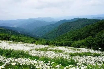 上巳节为什么是鬼节