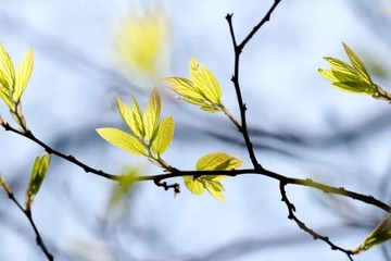 上巳节为什么是鬼节