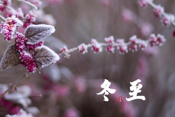 冬至节气吃什么食物,冬至的传统饮食