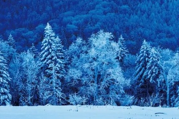 冬至代表着什么意思,冬至的含义是什么
