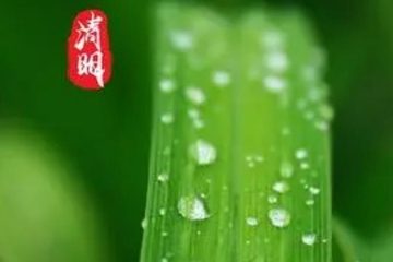 2023年清明节是几月几日,2023年清明节是哪天