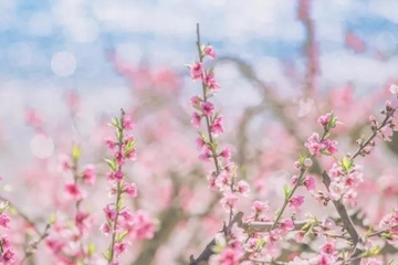 上巳节最早源于什么朝代,上巳节源于哪个朝代