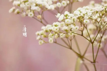 清明节是什么时候,每年的清明节是几月几日农历