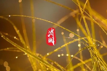 清明节是什么时候,每年的清明节是几月几日农历