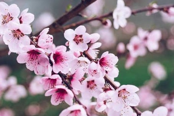 清明节是不吉利的日子吗