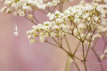 清明节都是4月5日吗,每年4月4号都是清明节吗