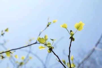 寒食节为什么不能用火,寒食节禁火的原因