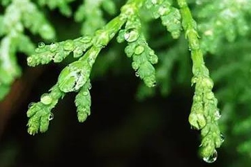 清明节伤感的句子,清明节伤感说说