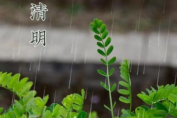 2024年清明节立碑吉日,2024年清明节立碑吉日查询