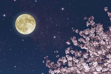 中秋节月亮是一年中最圆的吗